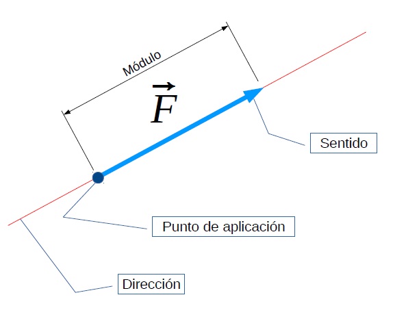 Vector